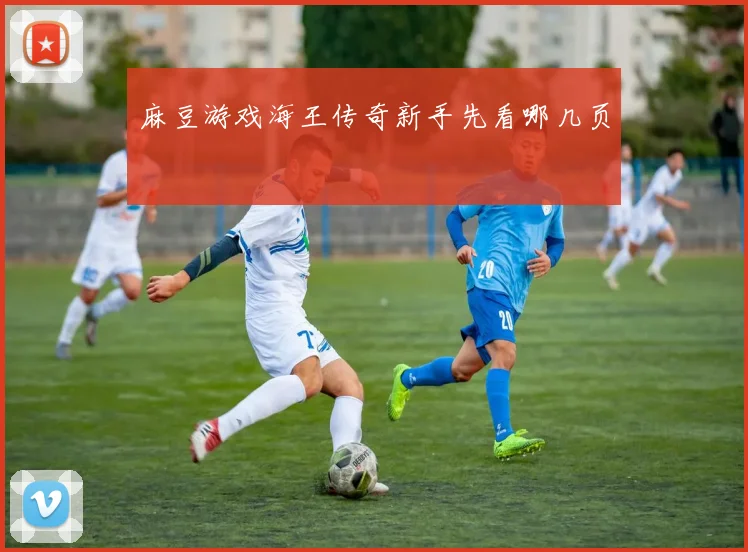 麻豆游戏海王传奇新手先看哪几页