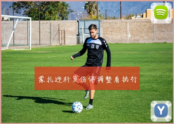 蒙扎迎科莫伤停调整看执行