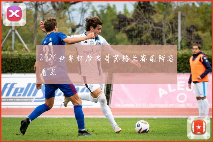2026世界杯摩洛哥苏格兰赛前阵容看点
